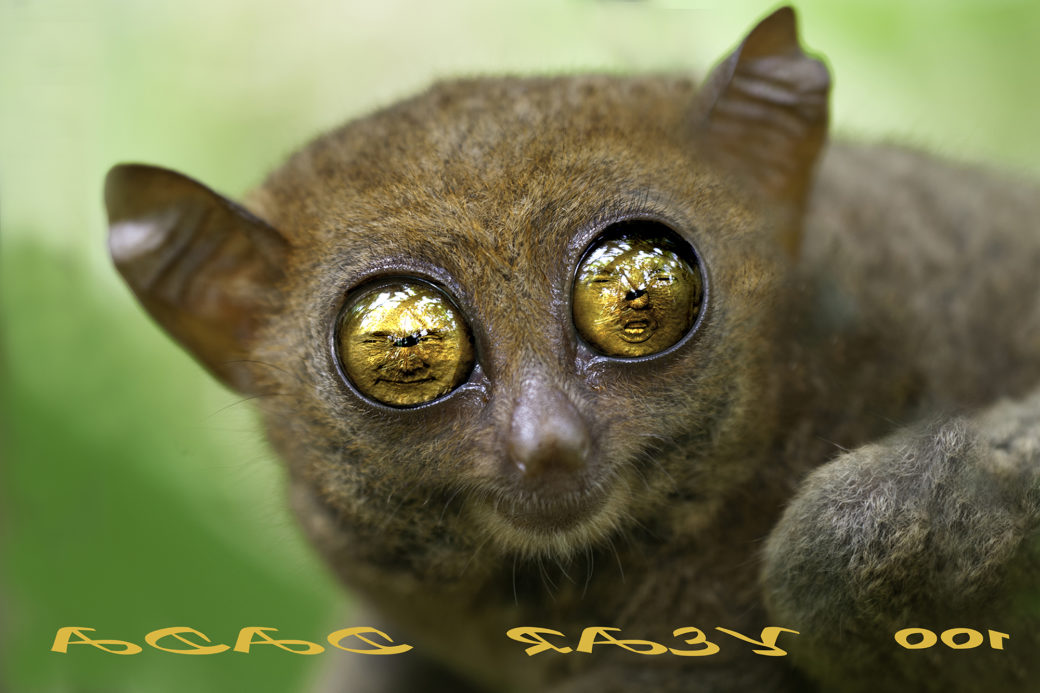 Begegnung mit Stefan Havadi-Nagy