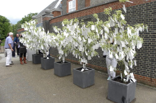 Yoko Ono’s Wish Tree: A Tapestry of Dreams and Unity
