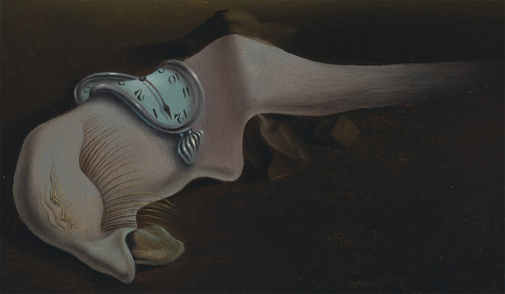 The Persistence of Memory Understanding Dali