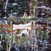 Explorando el Misticismo de White Canoe de Peter Doig