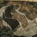 Erforschung des Todes und des Mädchens von Egon Schiele