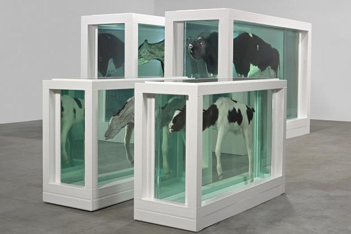 Exploring Damien Hirst’s Mother and Child Divided