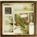 Exploring The Hotel Eden by Joseph Cornell