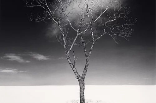Michael Kenna’s Christmas Tree, St. Malo: A Study in Serenity
