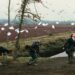 Exploring “A Sudden Gust of Wind” by Jeff Wall