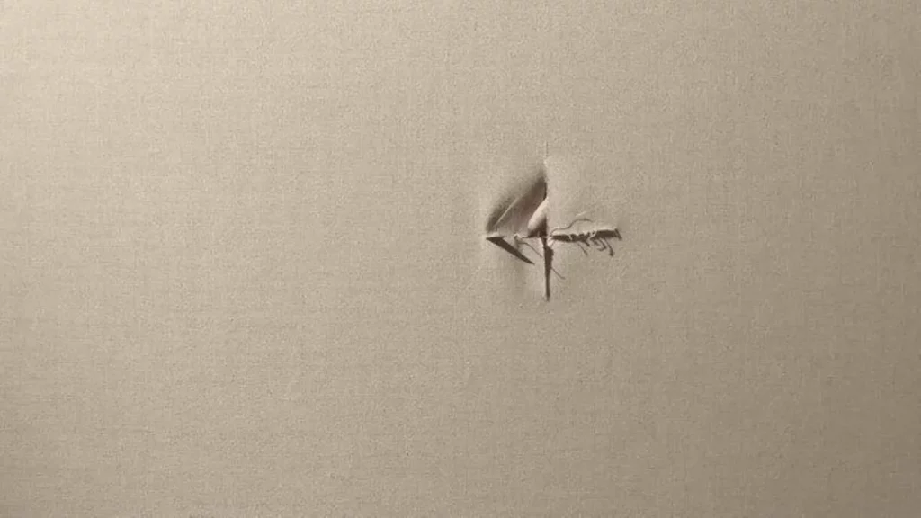 Painting to Shake Hands 55