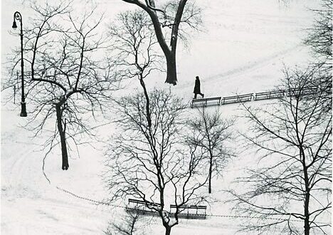 Die Erkundung von André Kertész‘ ikonischem „Washington Square, Winter“ Die Erkundung von André Kertész‘ ikonischem „Washington Square, Winter“