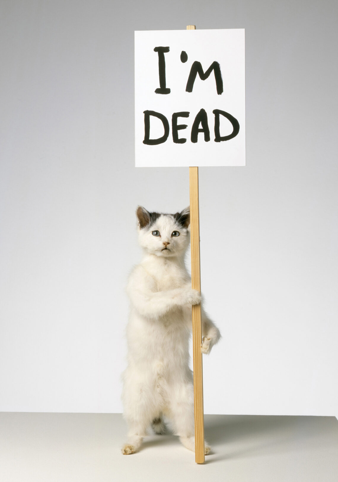 Exploring David Shrigley’s I’m Dead