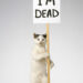 Explorando Estoy muerto de David Shrigley