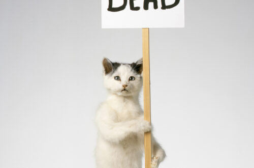 Explorer I&rsquo;m Dead de David Shrigley
