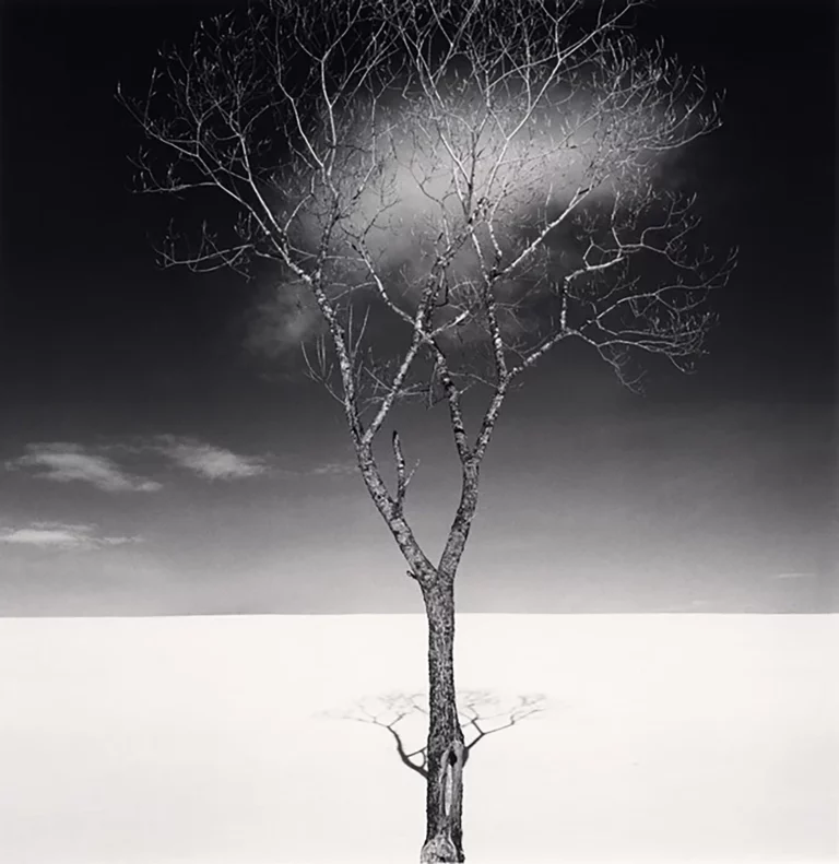 L’Albero di Natale di Michael Kenna, St. Malo: Uno Studio nella Serenità
