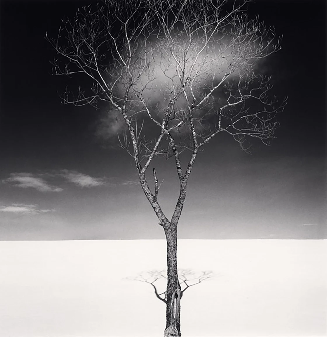 L’Albero di Natale di Michael Kenna, St. Malo: Uno Studio nella Serenità