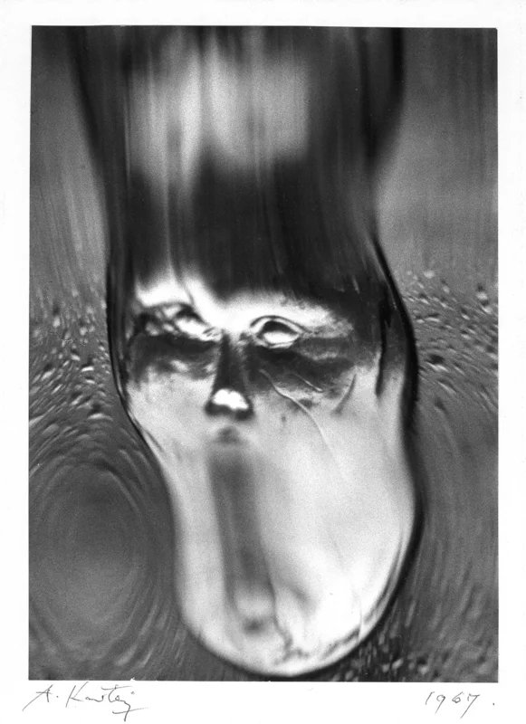 Catturare la Realtà: Distortion #29, Paris di André Kertész