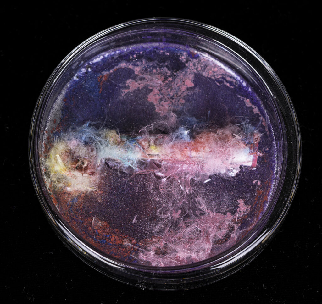 Cultivation Tooth Brush by Aomi Kikuchi