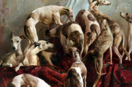 Exploring Laura and the Dogs by Guillermo Lorca