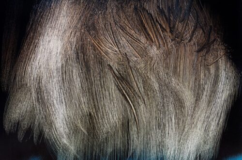 Exploring T1962-U8 by Hans Hartung