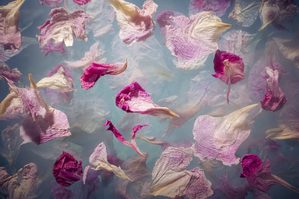 Dreaming of Peonies by Marjon Trap