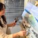 Oksana Salminen On Her Natural-Inspiring Exhibition