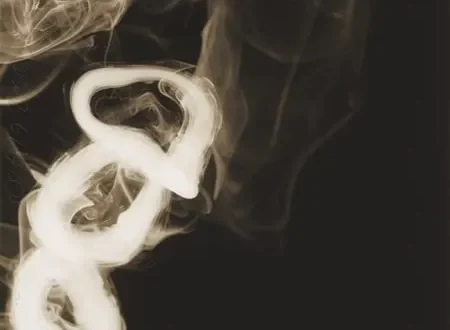 Exploring Smoke Rings Series by Donald Sultan
