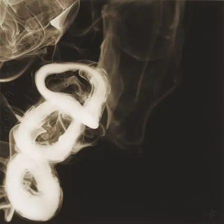 Exploring Smoke Rings Series by Donald Sultan