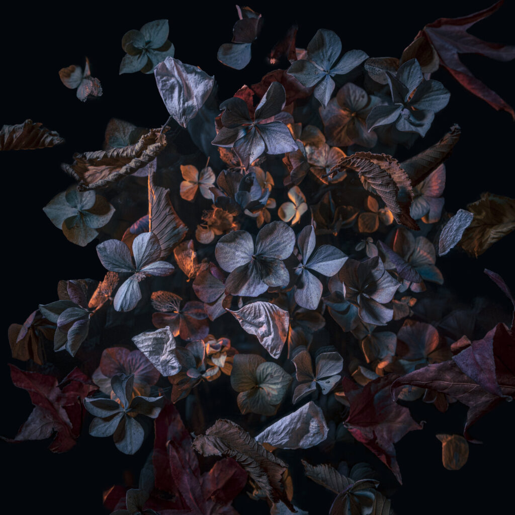 Warm Autumn Hydrangea by Marjon Trap