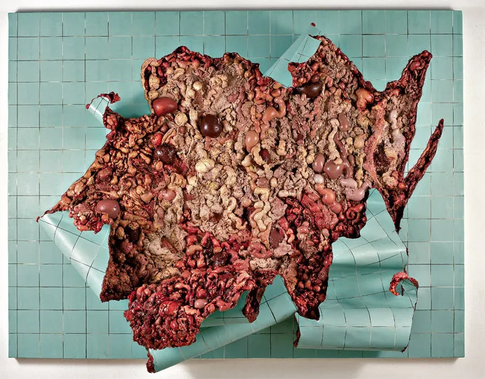 Obras de Adriana Varejão 