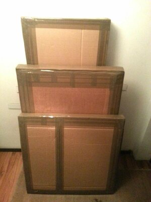 Veronica Vilsan dans le studio