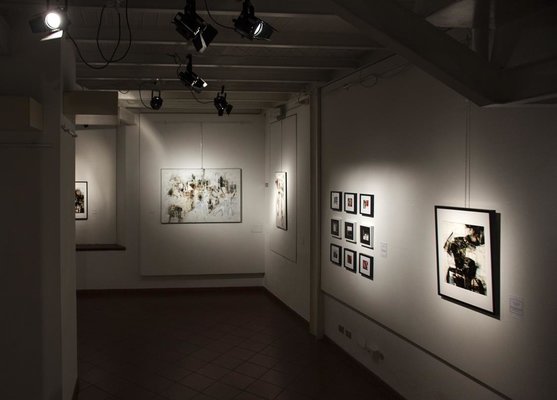 Francesco D'Adamo en el estudio: "Chimere" solo exhibition, Palazzo SS. Salvatore - S. Giovanni in P. (BO) - 2017