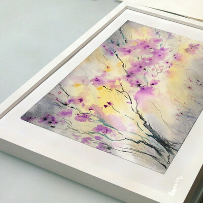 Cassia nello studio