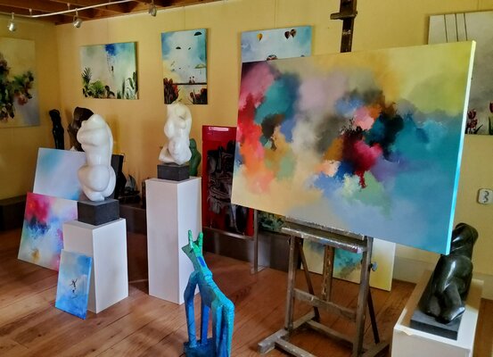Hanneke Pereboom im Studio
