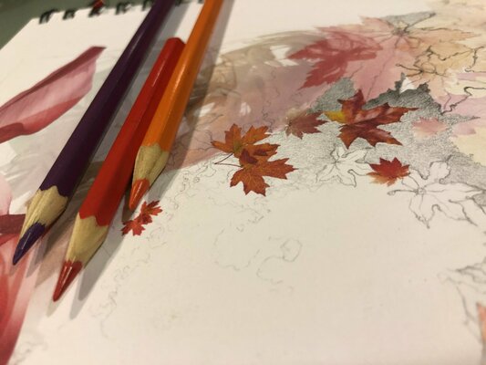 Ale Feijó in the Studio: Dibujar es respirar