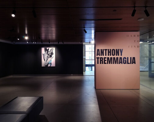Anthony Tremmaglia in the Studio: Ottawa Art Gallery