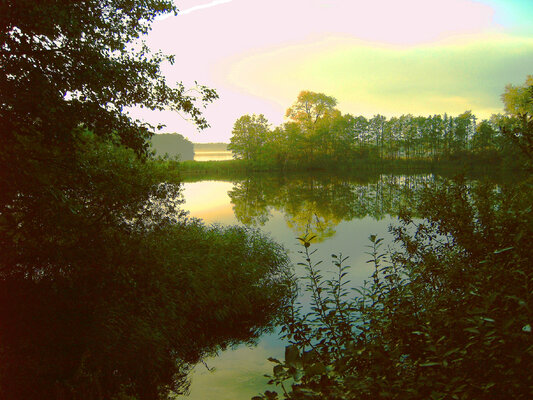 Matthias Bargholz in de studio