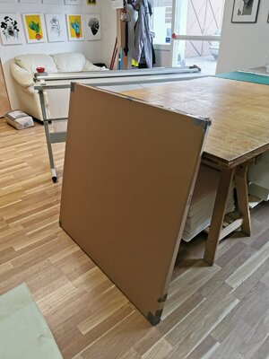 Cheeky Bunny in the Studio