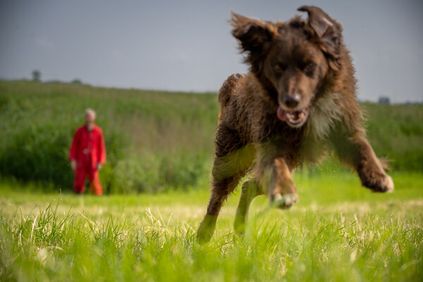 Henrie Vogel in de studio