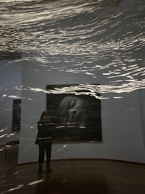 Gerlinde Kosina dans le studio: ALBERTINA  MUSEUM  WIEN  -  ROBERT LONGO - AUSSTELLUNG