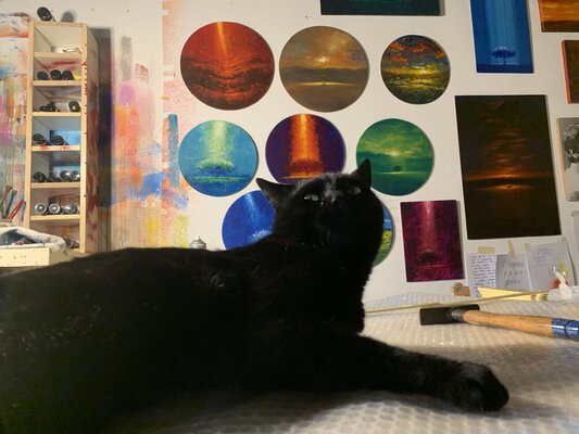 Alessandro Piras nello studio: Titto, my magic wonderful black cat! I love him.