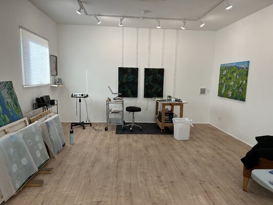 Catherine Kirkwood in de studio