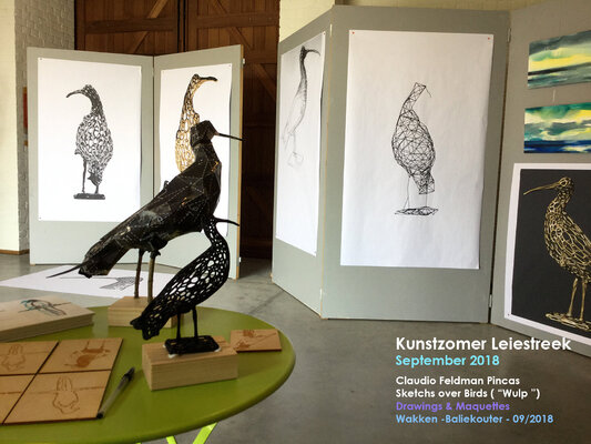 Claudio Pincas Feldman in de studio: Exposicion Wakken / Vogels / Birds Sketchs /2018