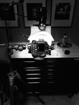 Gary Moss nello studio