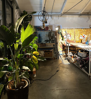 Oscar Baccilieri in de studio