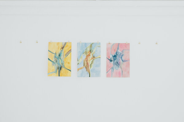 Roxanne Louise Pinto Hjorth in de studio: Lichen, Mountain and Spider in situ.