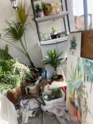 Natalia Vasil in the Studio: I like to paint on my sunny terrace; it's my perfect escape and brings me peace and inspiratios me peace and inspiration