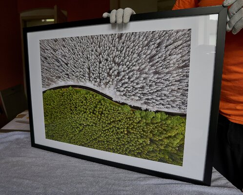 Tomáš Neuwirth im Studio