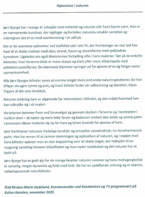 Joern Bjerge dans le studio: Review of my work in Danish for the Danes.