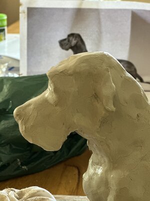 DOGFINEART im Studio: Das Modell erfassen und umsetzen.....