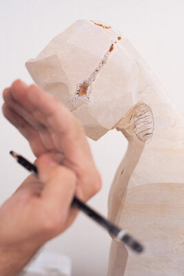 David Gómez in de studio