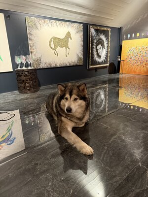 Mariann Haukaas in the Studio: All dogs are welcome in my gallery!