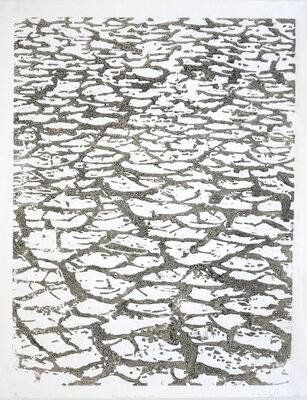 Herman Van Synghel in de studio: Printed with mud of the nearby lake