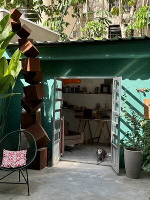 Renato Gosling nello studio